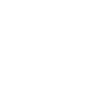 icon 111