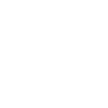 icon 113